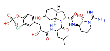 Aeruginosin 89B